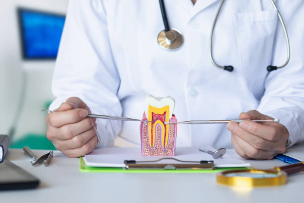 Best Emergency Dental Services for Seniors in Swifton, AR
